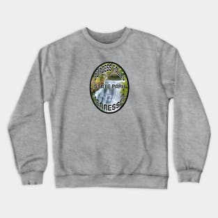 BURGESS FALLS STATE PARK TENNESSEE Crewneck Sweatshirt